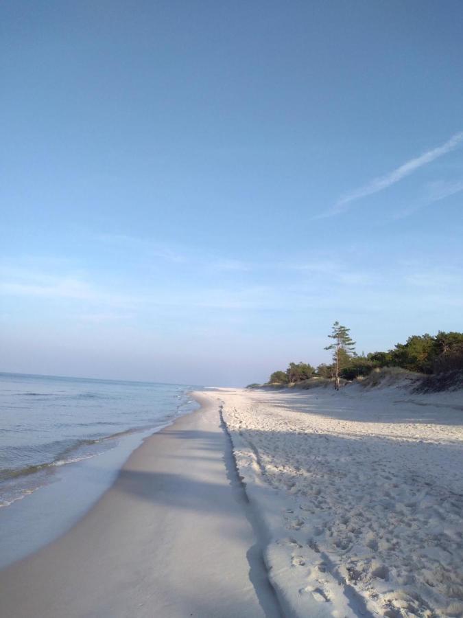 Chata Lawendowa Sasino Luaran gambar